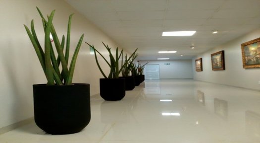 Vasos - Hospital do Coração - Londrina